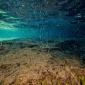 Snorkeling a Ischia tra grotte ed emissioni gassose