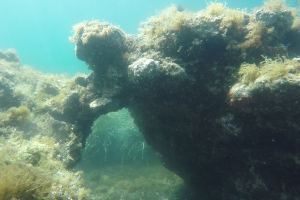 ANS Diving Ischia - Aperto tutti i giorni dalle 9:00 alle 20:00